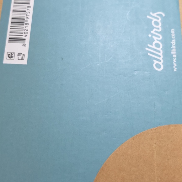 Allbirds Canvas Pacer Thrive Teal (Clarity Blue) Sneakers - Picture 8 of 8